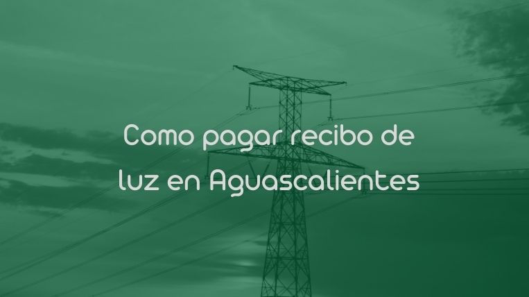 Como pagar recibo de luz en Aguascalientes